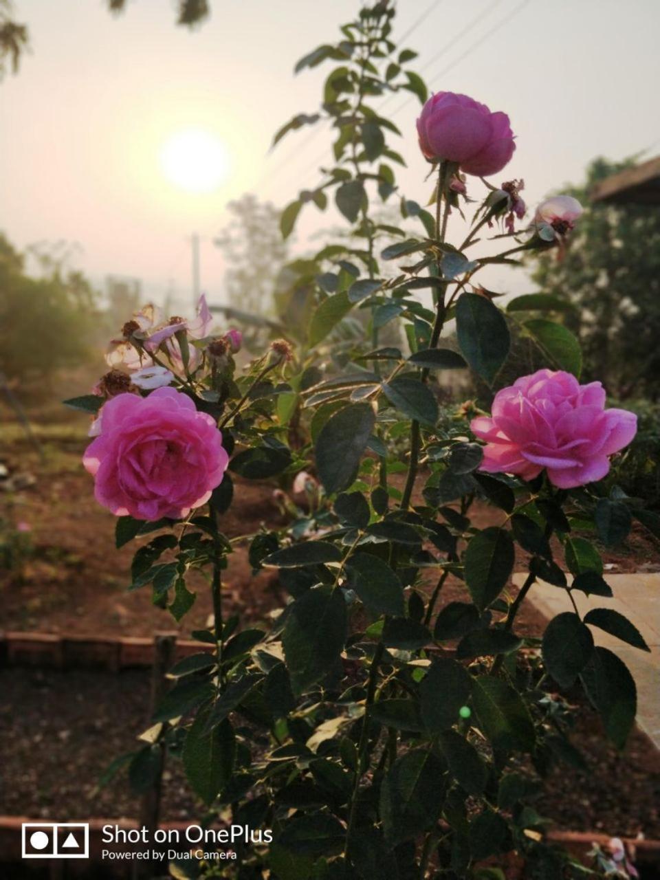 Shree Samarth Farmhouse Murūd Kültér fotó
