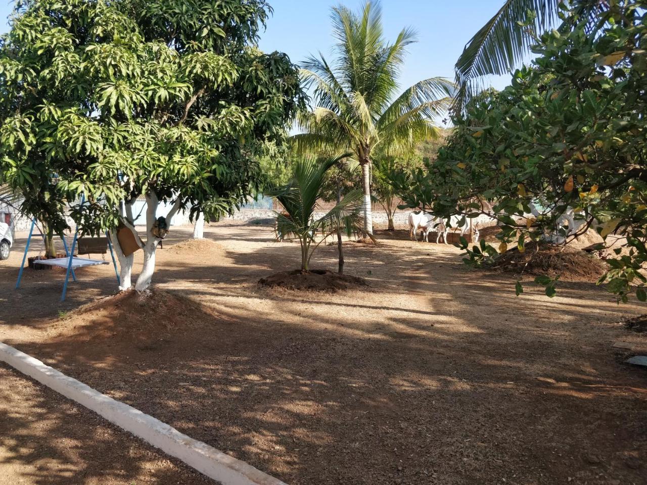 Shree Samarth Farmhouse Murūd Kültér fotó